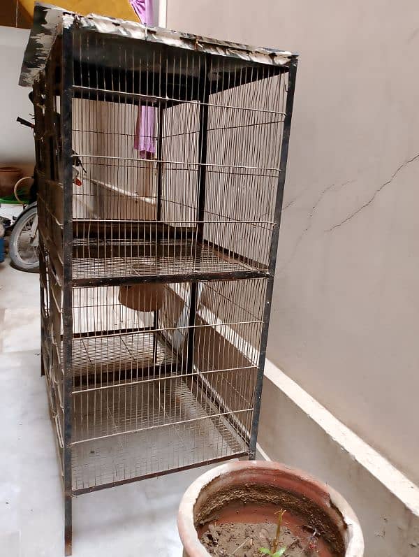 Birds iron Cage 4