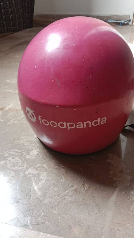 food panda delivery bag 2