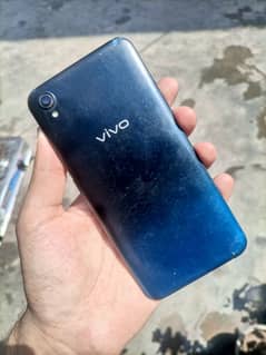 Vivo