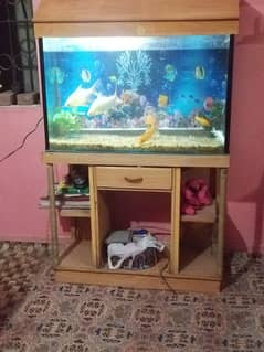 aquarium for sell