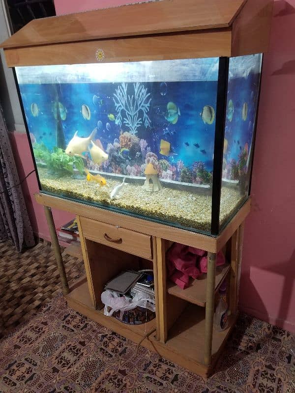 aquarium for sell 1