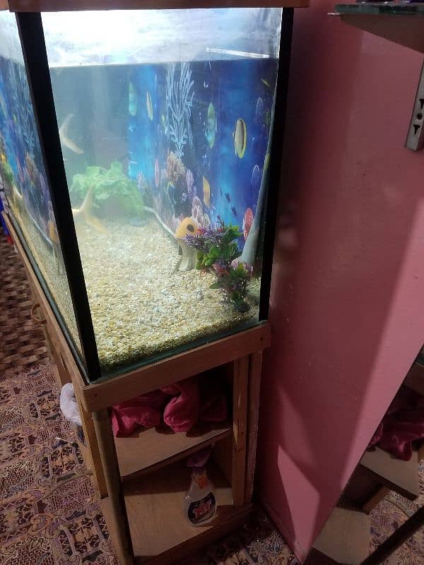 aquarium for sell 2