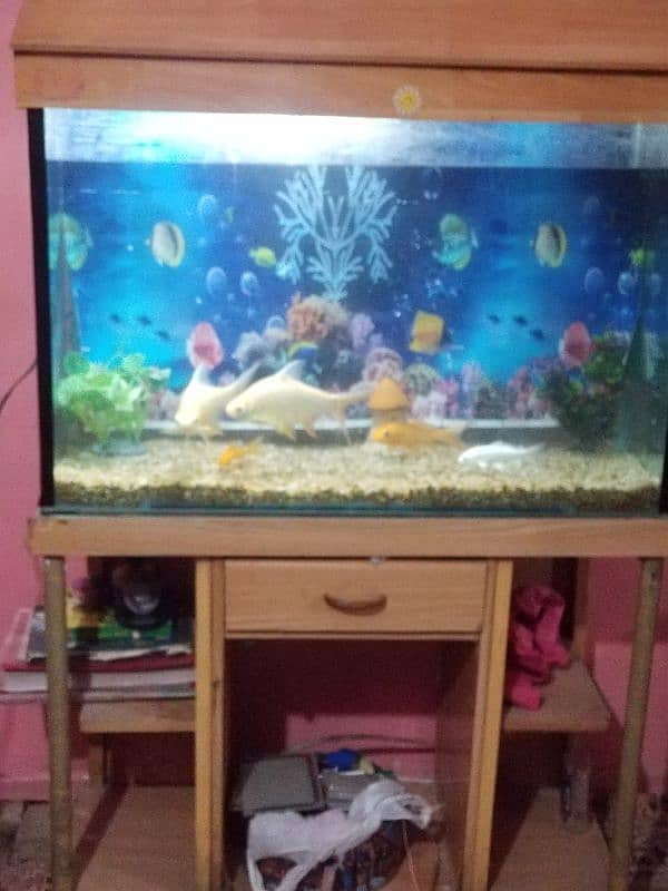 aquarium for sell 3