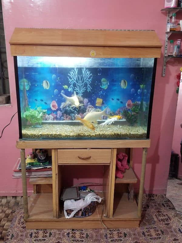 aquarium for sell 4