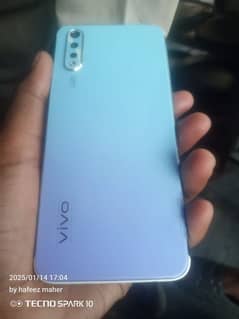 vivo