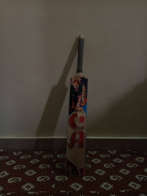 Cricket 5