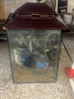 fish aquarium small