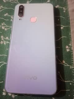 vivo