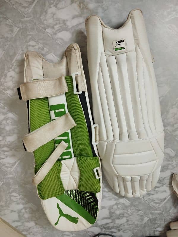 Hard ball cricket kit 6