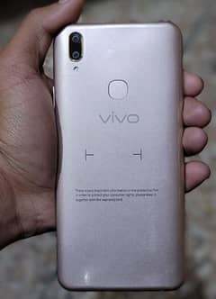 vivo