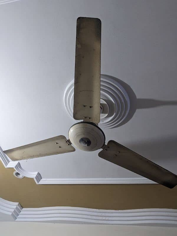 Ceiling Fans 1