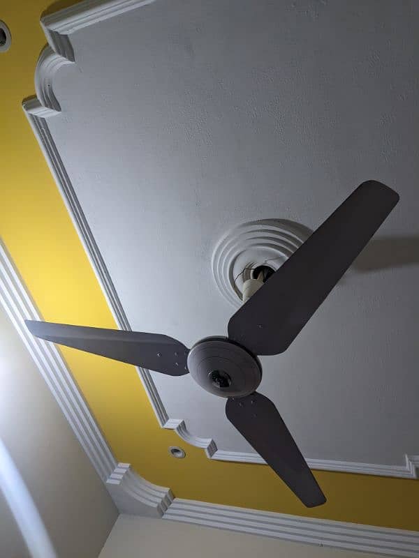 Ceiling Fans 2