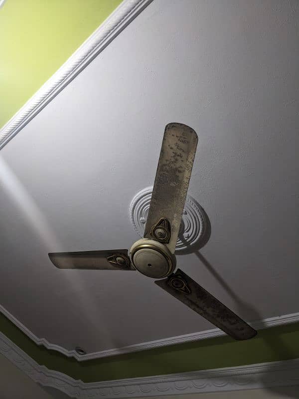 Ceiling Fans 3