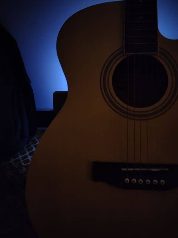 Guitar Acoustic 1