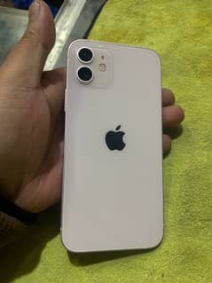 iphone 12 pta approved 128gb dual sim approved