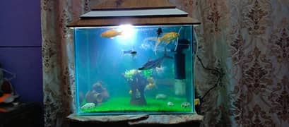 Fish Aquarium For Sell