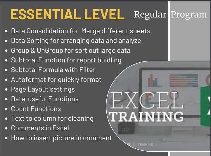 Microsoft Excel Training - Online MS Excel Tution/Tutor/Teacher/Coach 3