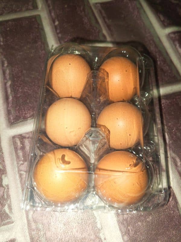 lohman brown eggs available in Karachi nazimabad paposh Nagar 6pcs box 2