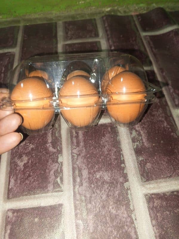 lohman brown eggs available in Karachi nazimabad paposh Nagar 6pcs box 3