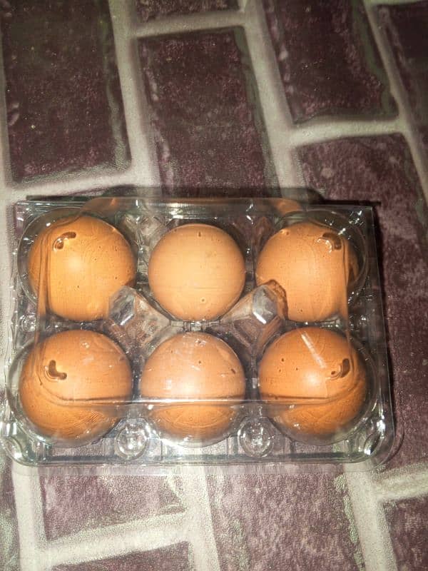 lohman brown eggs available in Karachi nazimabad paposh Nagar 6pcs box 4