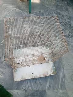 cage for sale millat road Faisalabad