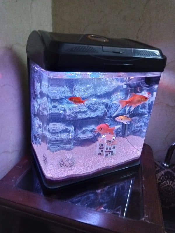 imported aquarium for sale good condition 2 feet size 03078126036 1