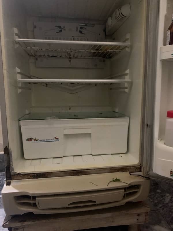 pel fridge 2