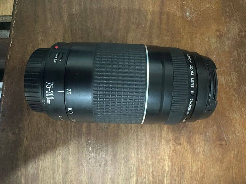 canon lens 75_300 1