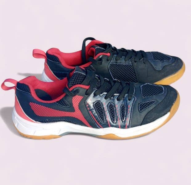 Indoor sports shoes 1