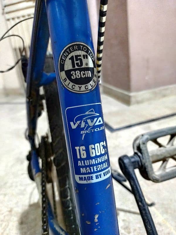 Viva imported Aluminum bicycle 6