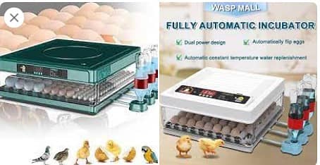 INTELLEGENT ( GREEN & WHITE ) 15,30,70,140EGG FULL AUTOMATIC INCUBATOR 0