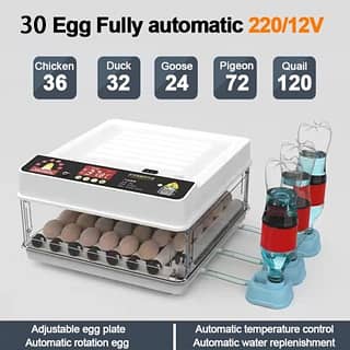 INTELLEGENT ( GREEN & WHITE ) 15,30,70,140EGG FULL AUTOMATIC INCUBATOR 4