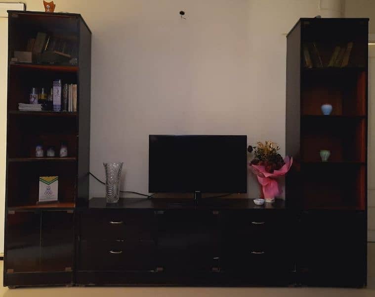 T. V Console & Shelves 0