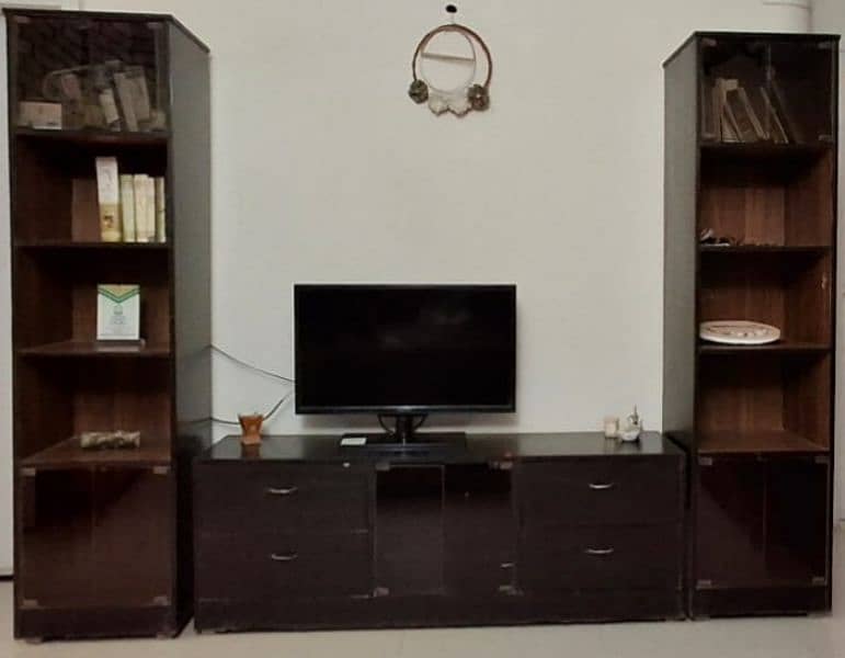 T. V Console & Shelves 1