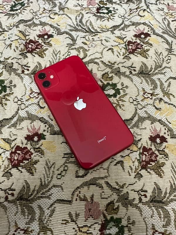 iPhone 11 0