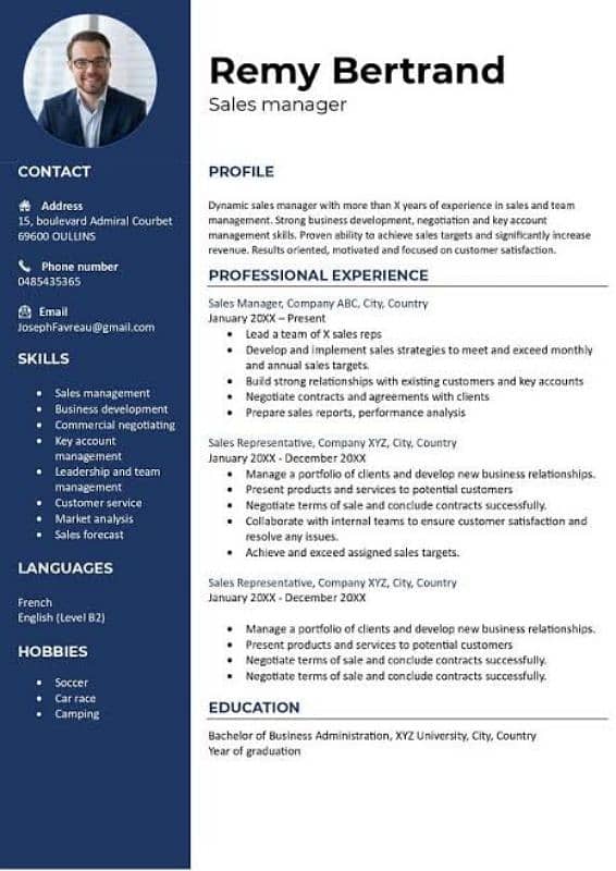 Professional CV Maker 1