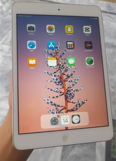 ipad mini 2