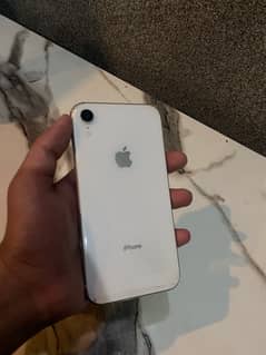 iPhone XR (J. V)