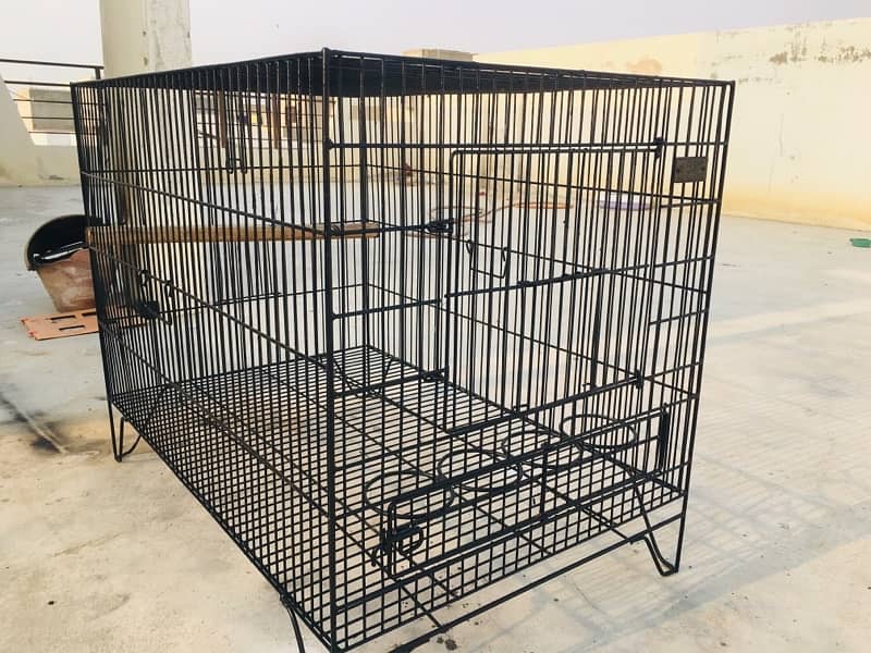 BRAND NEW CAGE 3