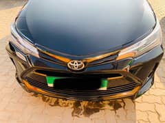 Toyota Altis Grande 2019