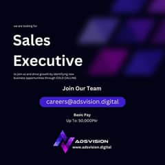 Sales Executive