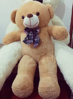 Teddy