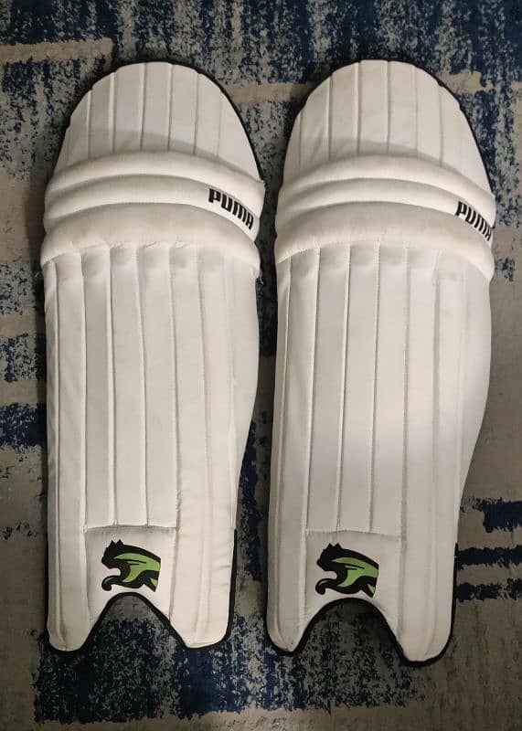 USED CRICKET equipment CHEAP price 11