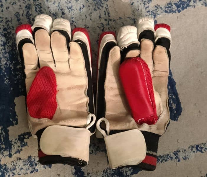 USED CRICKET equipment CHEAP price 16