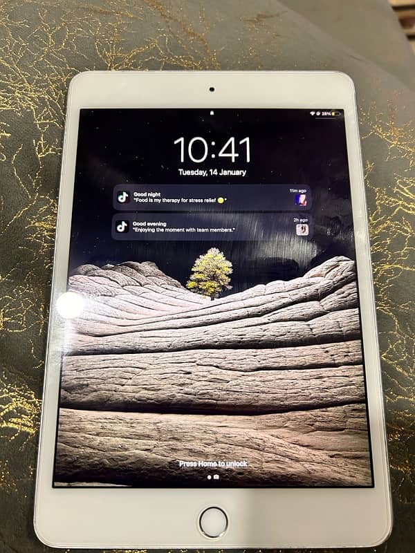 Apple iPad mini 4 2