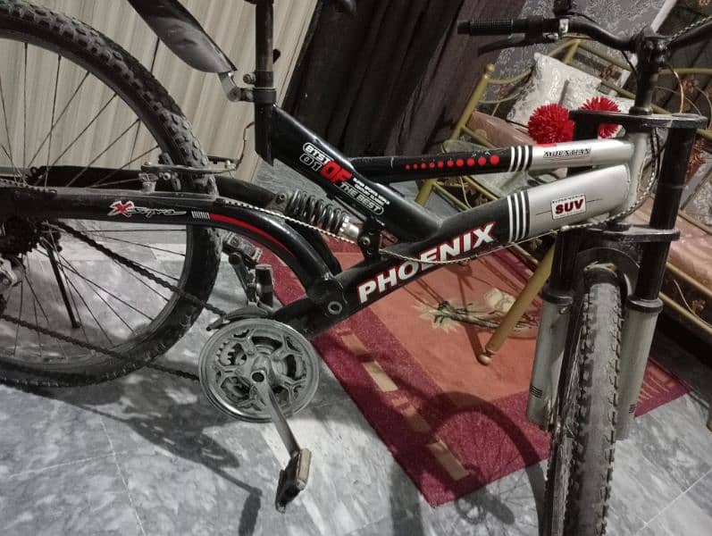 phoenix Bicycle for sale 0