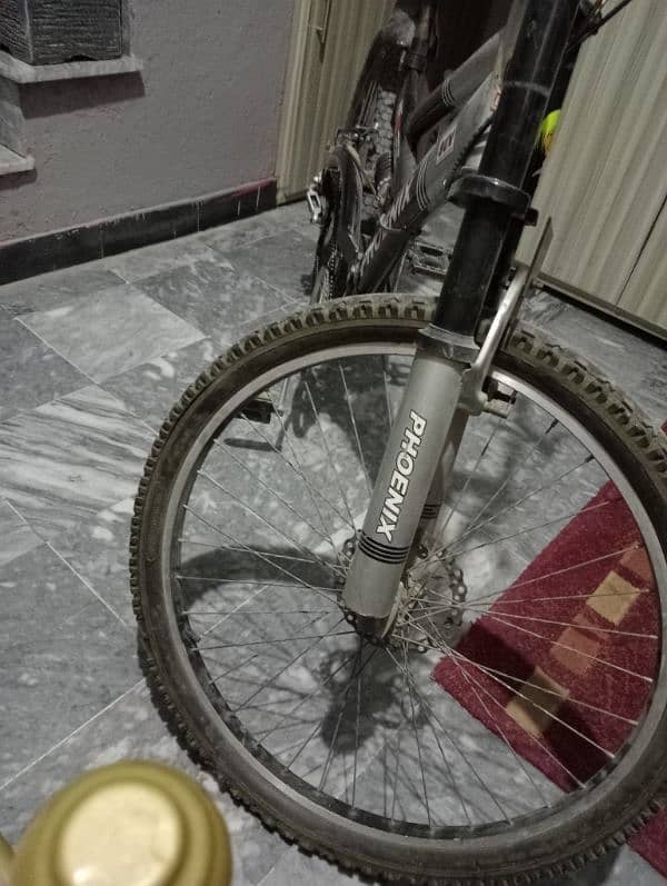 phoenix Bicycle for sale 2