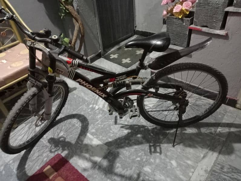 phoenix Bicycle for sale 3