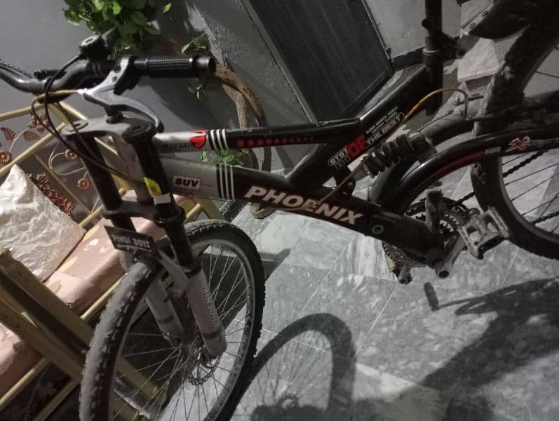 phoenix Bicycle for sale 4