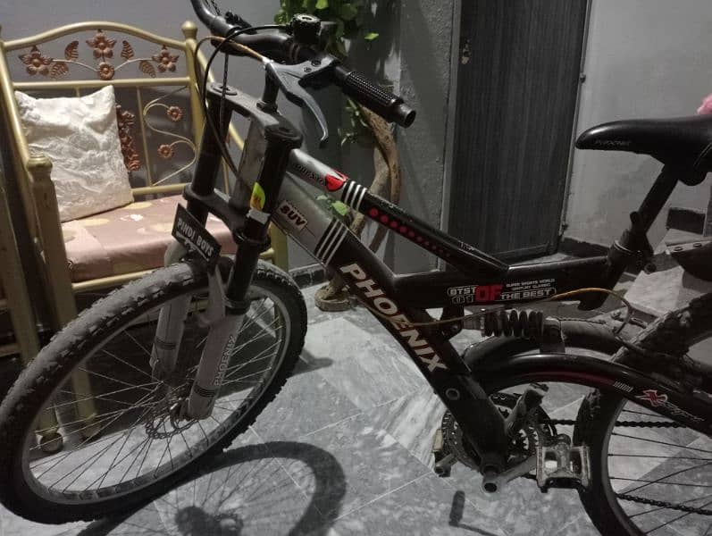 phoenix Bicycle for sale 5